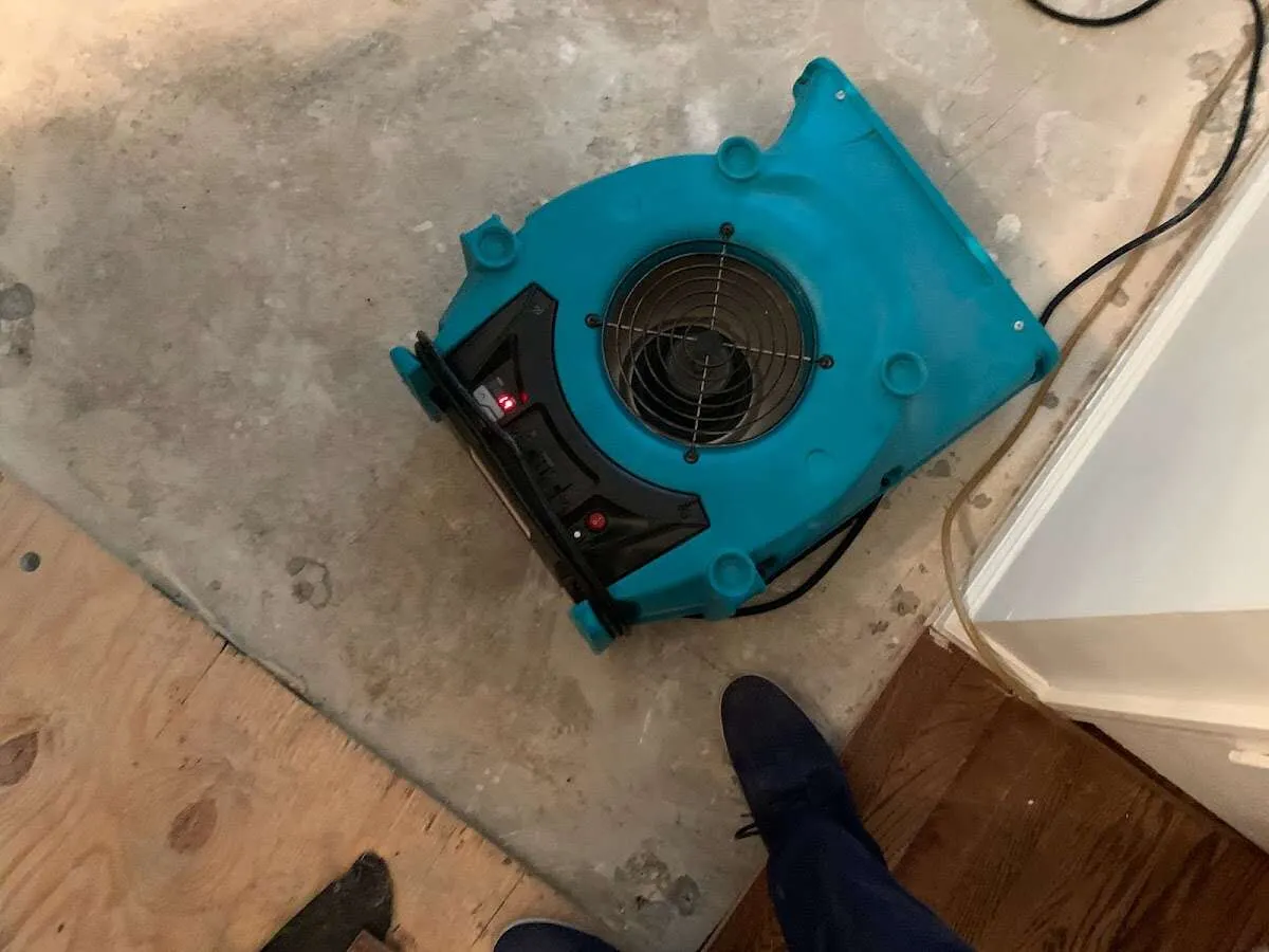 Air mover drying subfloor during Leak Detection & Repair in Egypt Lake-Leto